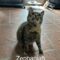 Zephaniah