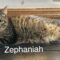 Zephaniah