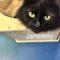 Janeway
