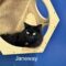 Janeway
