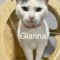 Gianna