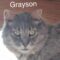 Grayson Coop