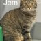 Jem