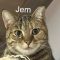 Jem