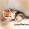 Lady Praline